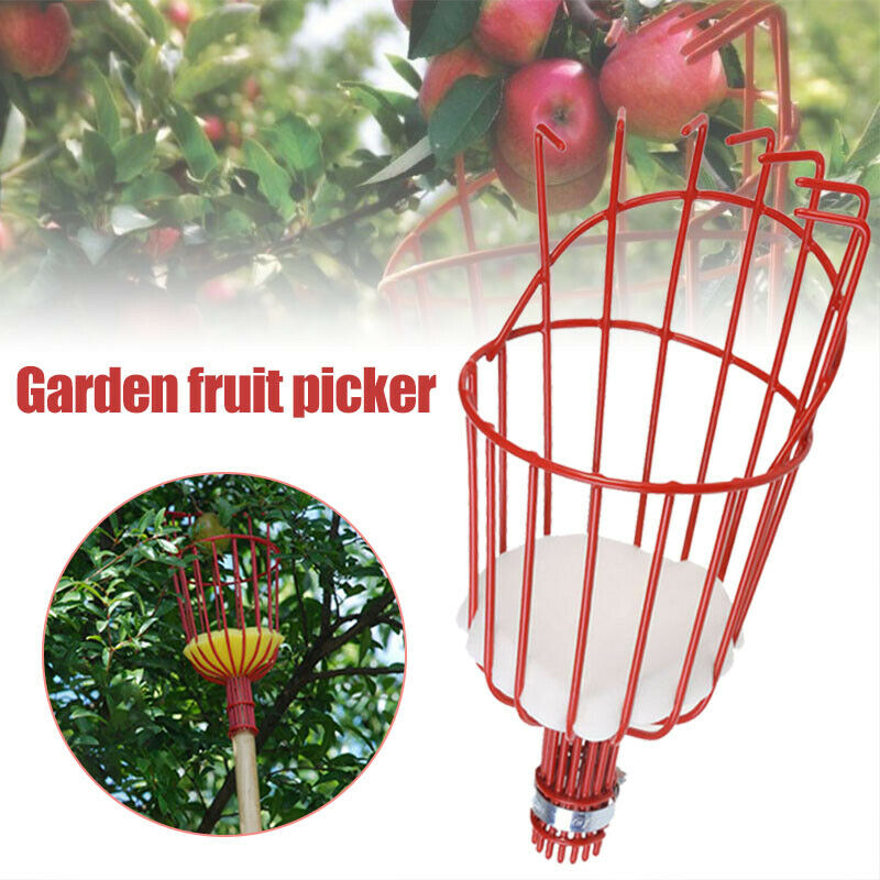 Fruit Picking Machine Fruit Co - Gardening Tools Equipment ulasan dan harga