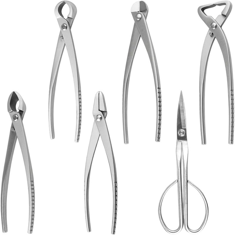 L68A For Plant For Planting& S - Bonsai Tool Set ulasan dan harga