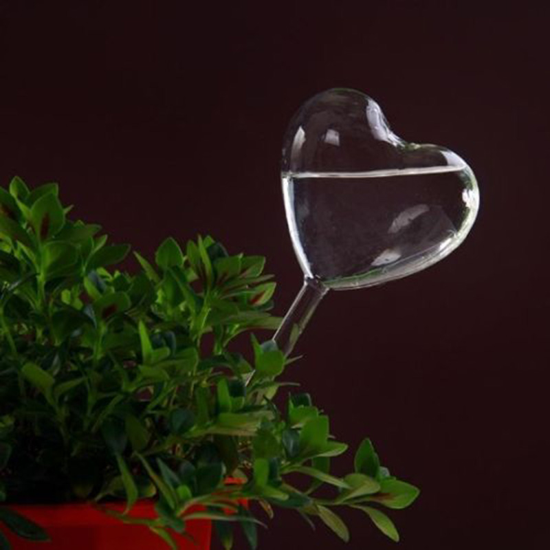House/Garden Water Houseplant  - Gardening Tools Equipment ulasan dan harga