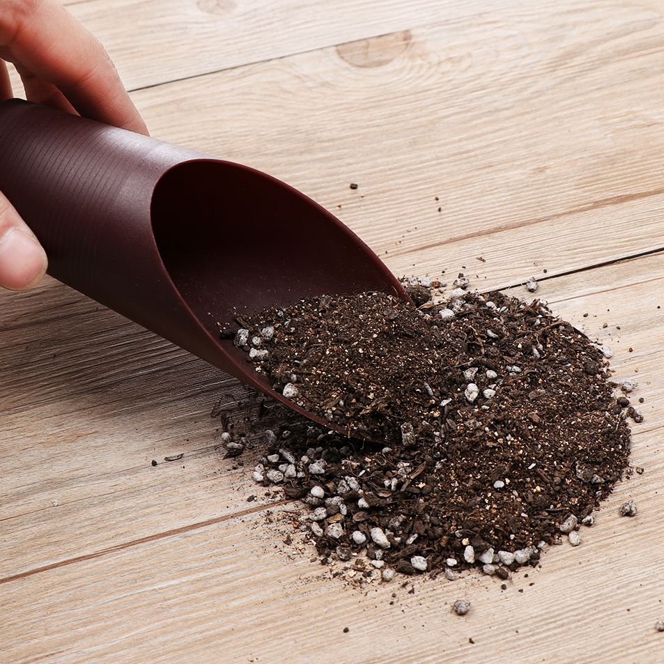 1PC Plastic Soil Shovel Cup Fo - Gardening Tools Equipment ulasan dan harga